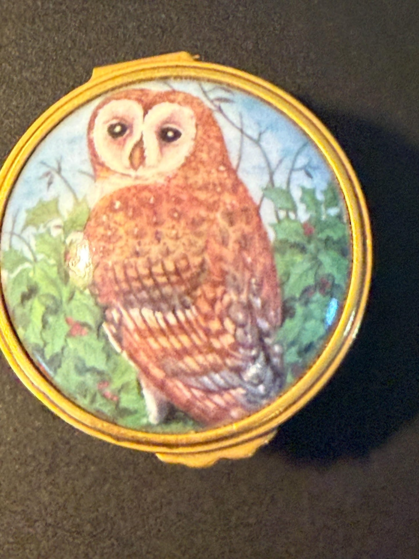 Vintage Barn Owl Trinket Box by Tyto Alba Fine Bone China Enamel Owl Box Made in England Lover Antiques and Vintage