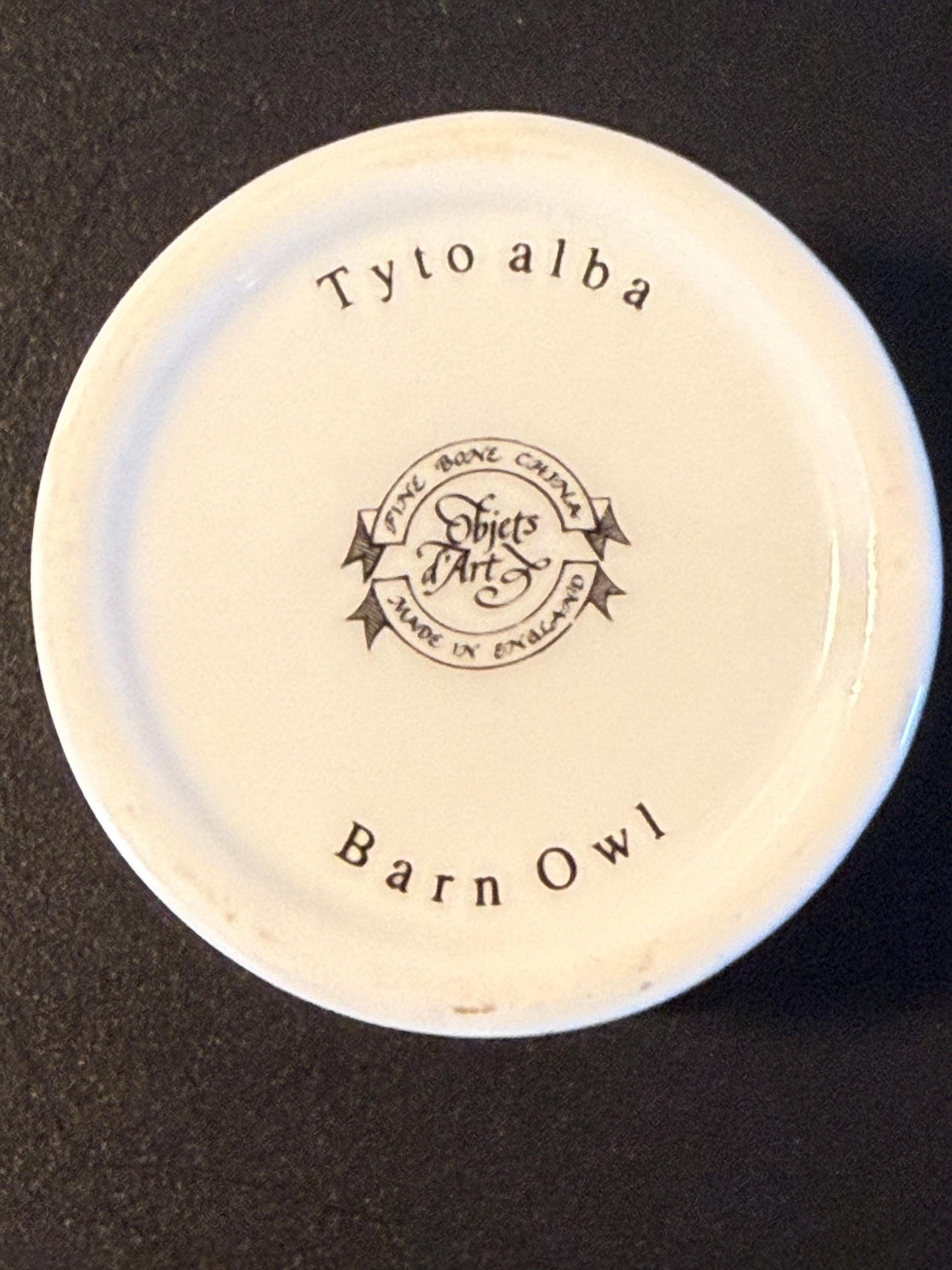 Vintage Barn Owl Trinket Box by Tyto Alba Fine Bone China Enamel Owl Box Made in England Lover Antiques and Vintage