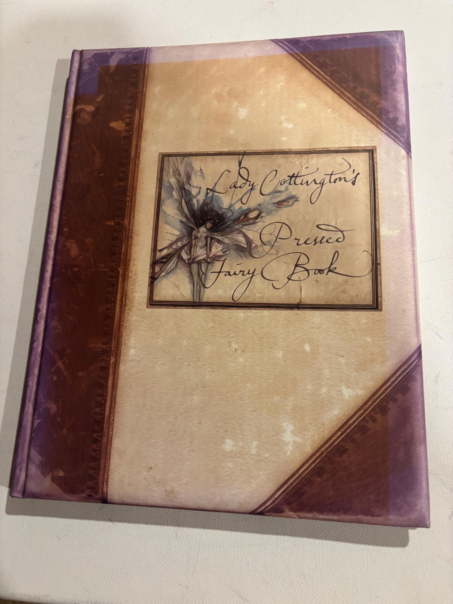 Lady Cottington's Pressed Fairy Book by Terry Jones Lover Antiques and Vintage