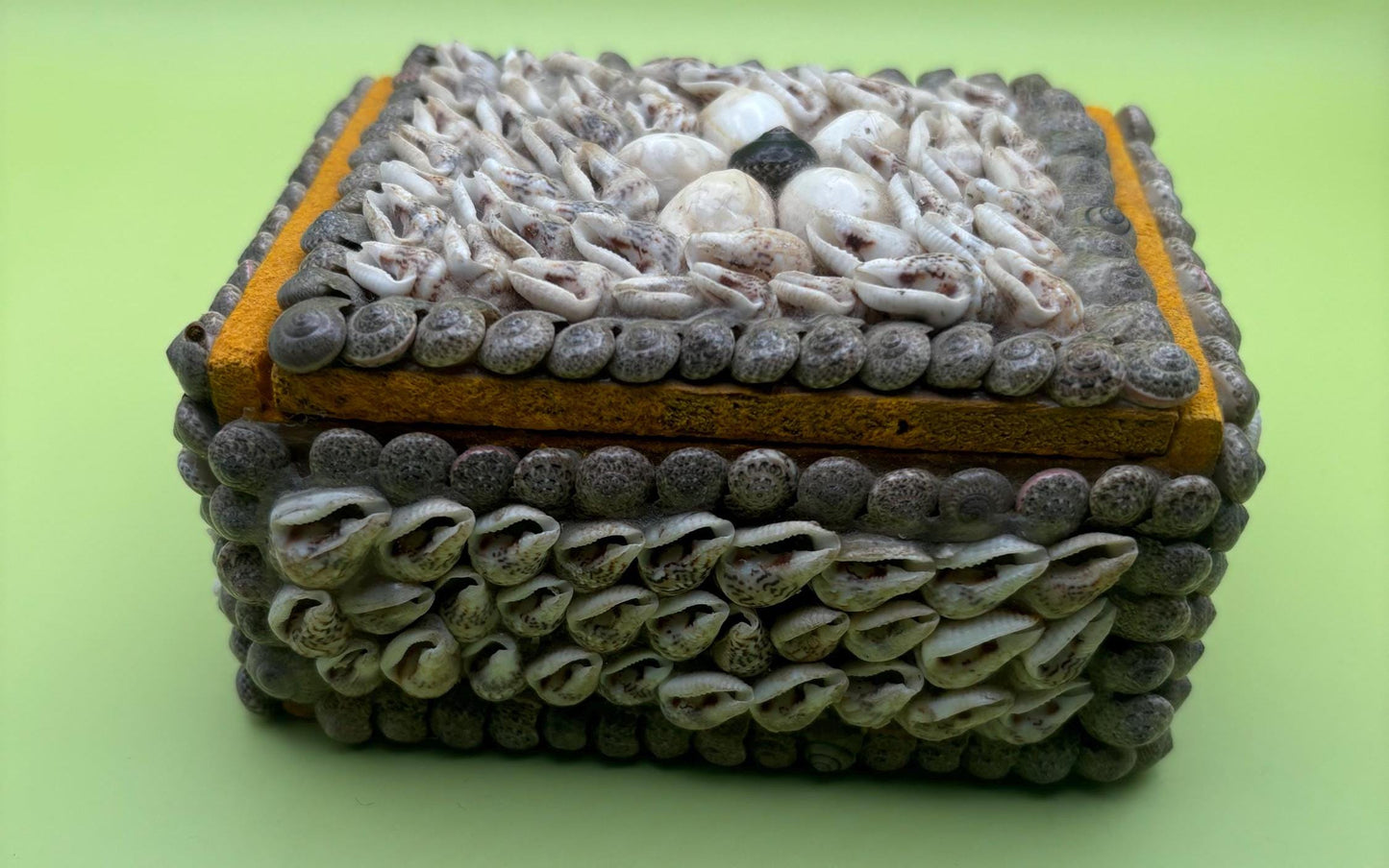 Vintage Seashell Jewelry Box Trinket Box Lover Antiques and Vintage
