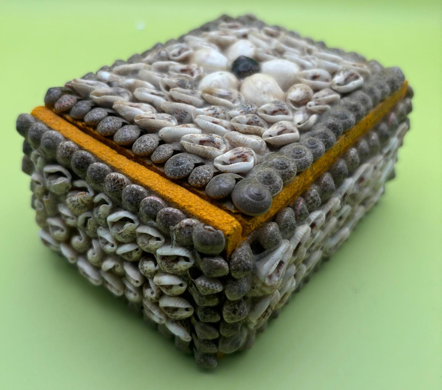 Vintage Seashell Jewelry Box Trinket Box Lover Antiques and Vintage