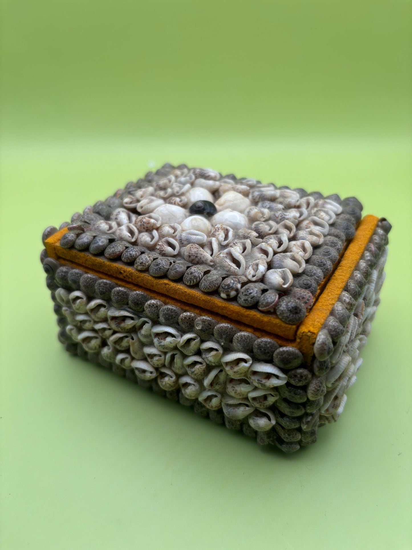 Vintage Seashell Jewelry Box Trinket Box Lover Antiques and Vintage