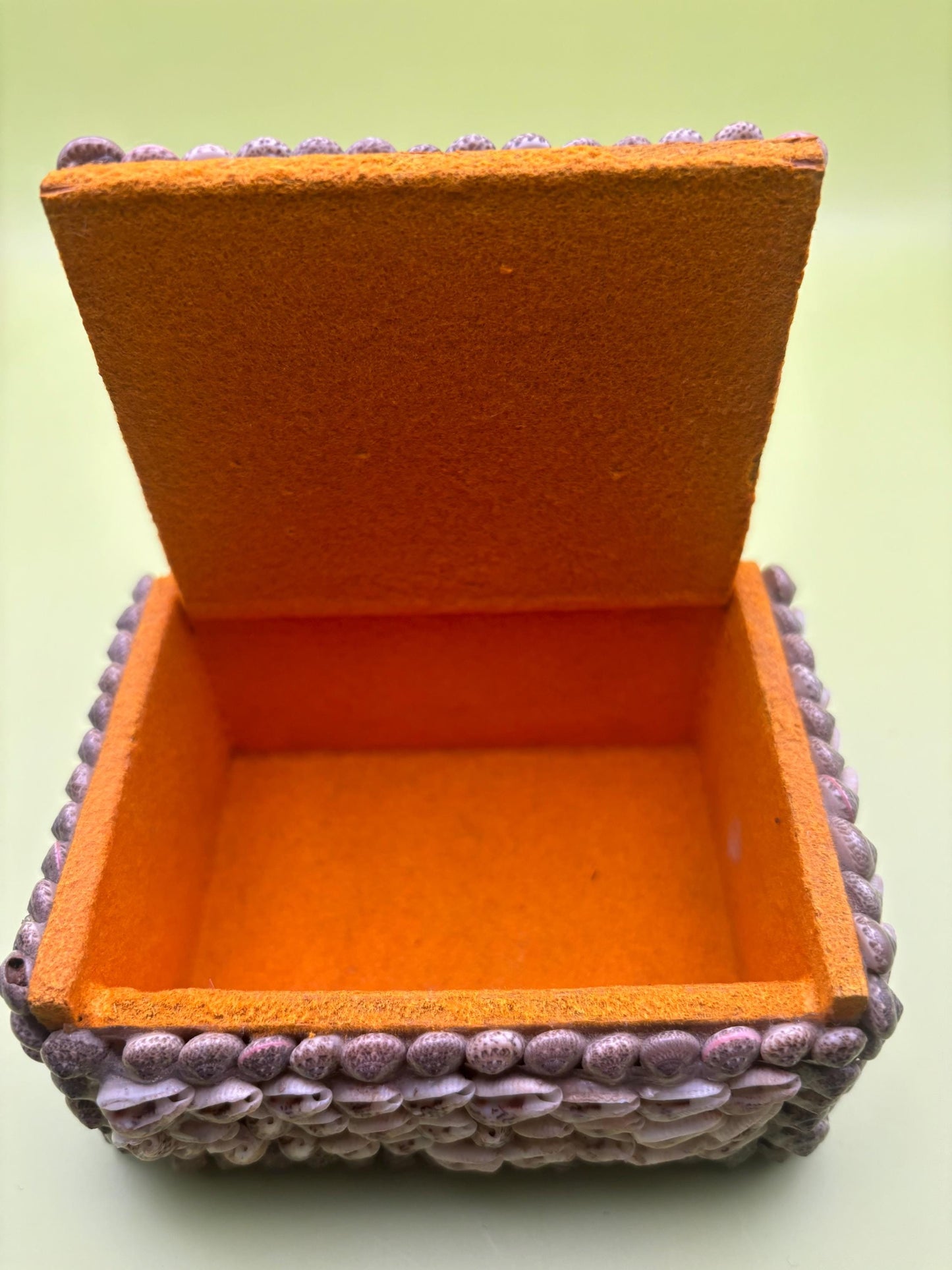 Vintage Seashell Jewelry Box Trinket Box Lover Antiques and Vintage