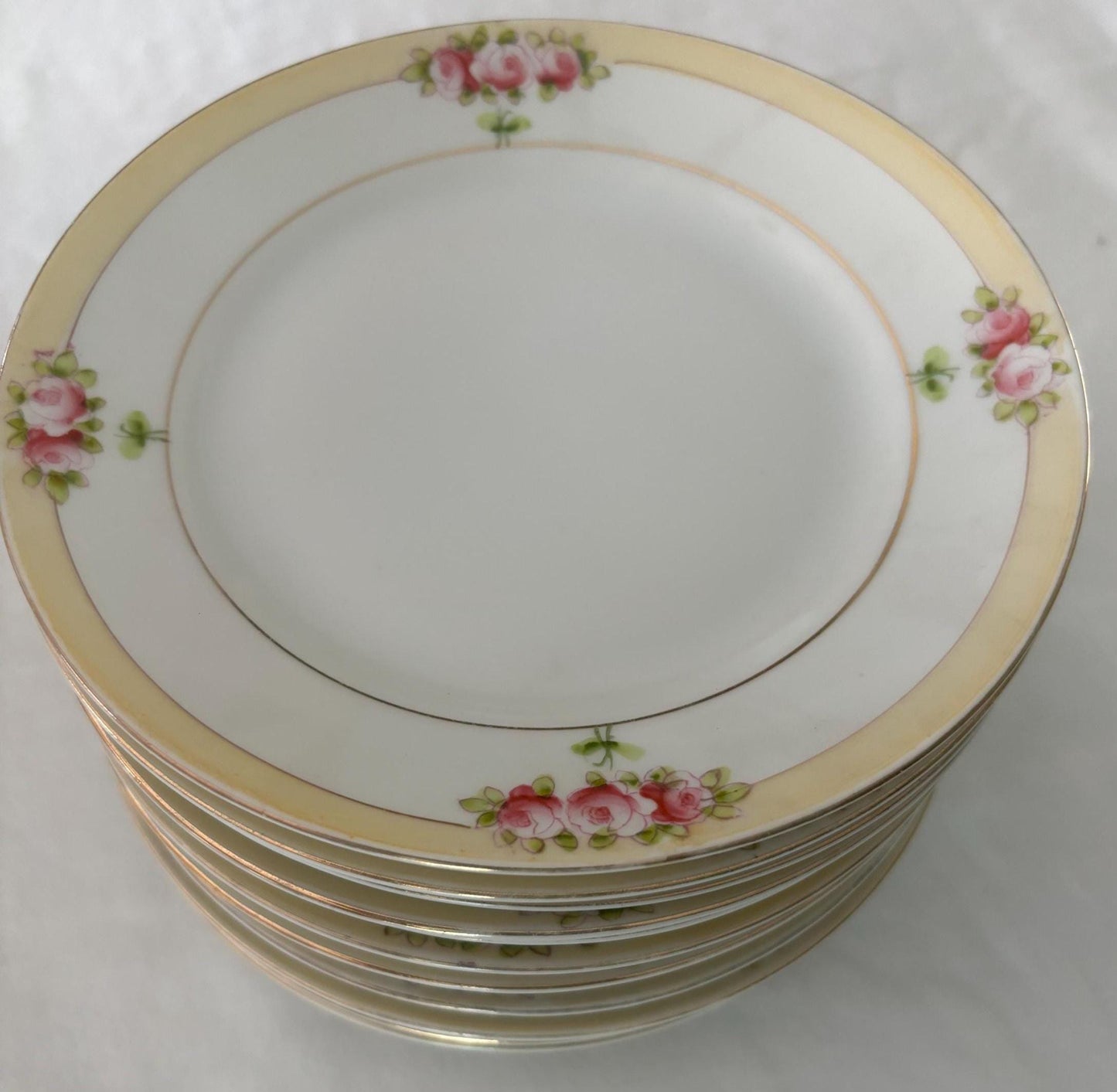 Vintage Nippon Hand Painted Porcelain Plates Set of 12 Never Used Lover Antiques and Vintage