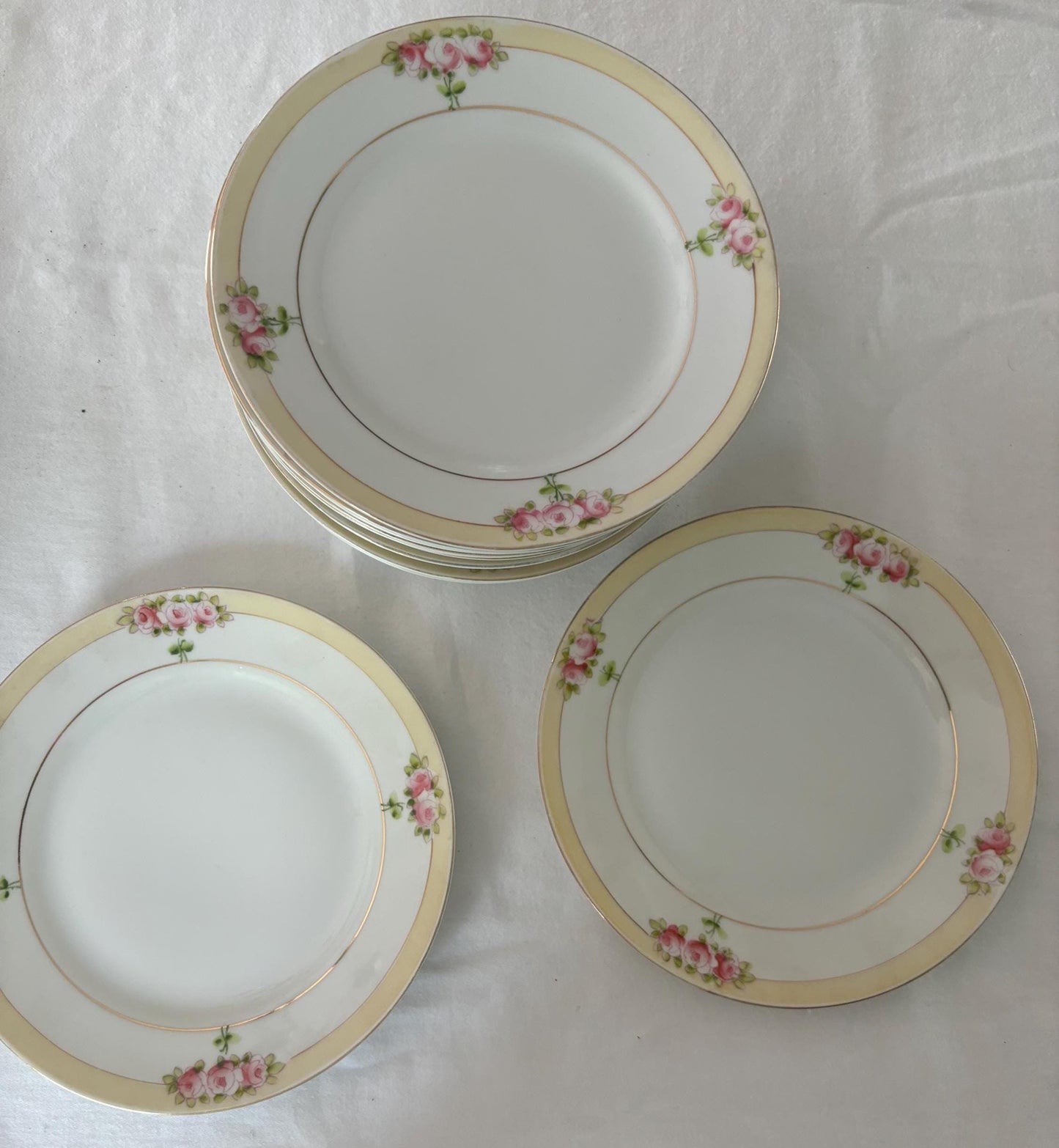 Vintage Nippon Hand Painted Porcelain Plates Set of 12 Never Used Lover Antiques and Vintage