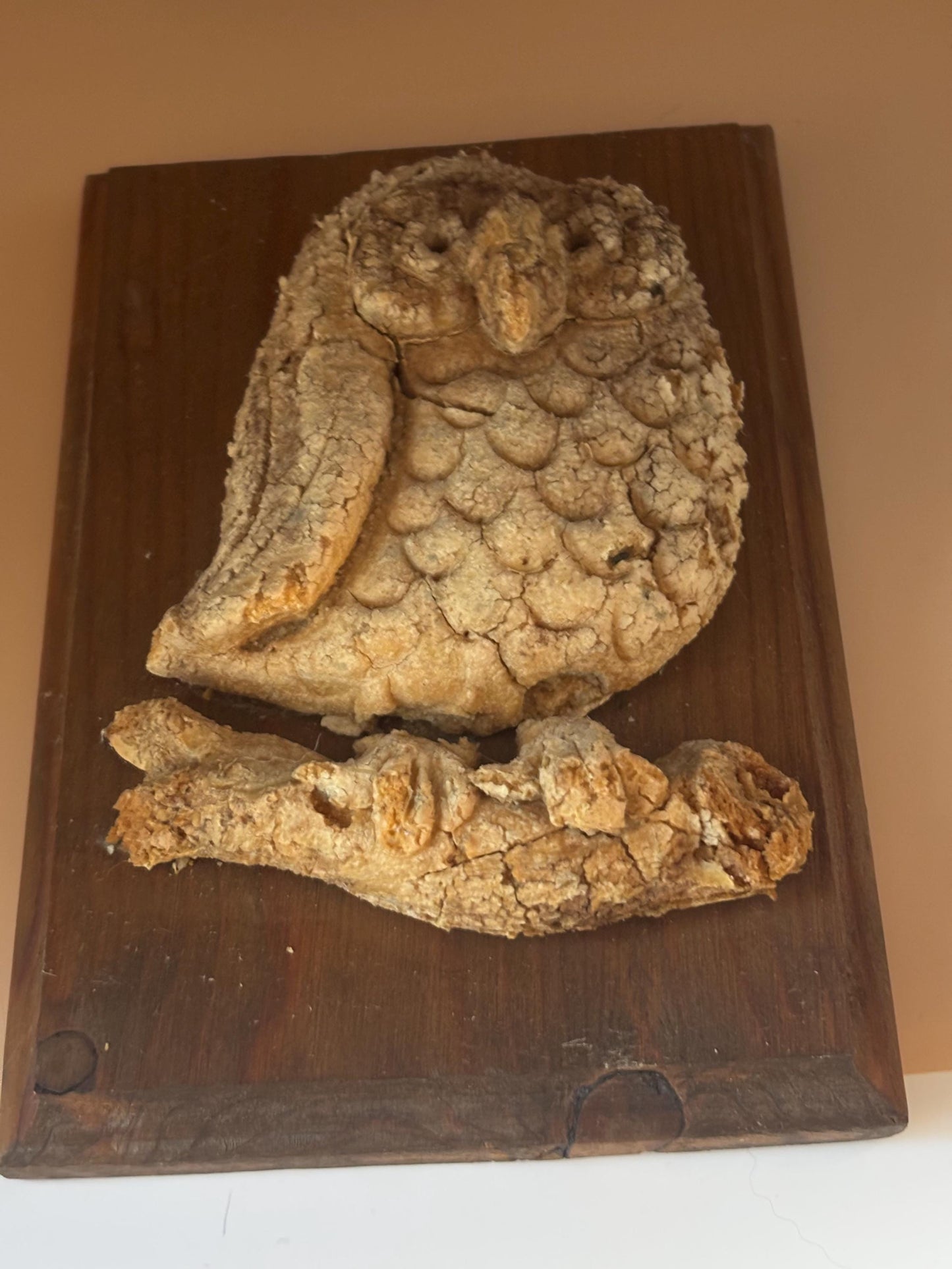 Vintage Folk Art Owl Driftwood 3D Wall Art Hanging Lover Antiques and Vintage