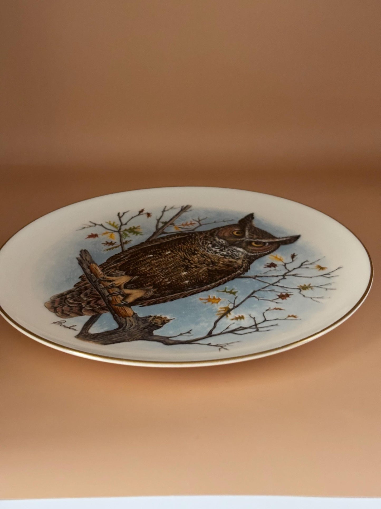 Vintage Owl Boehm Porcelain Plate by Edward Marshall Bone China Gold Rim Lover Antiques and Vintage