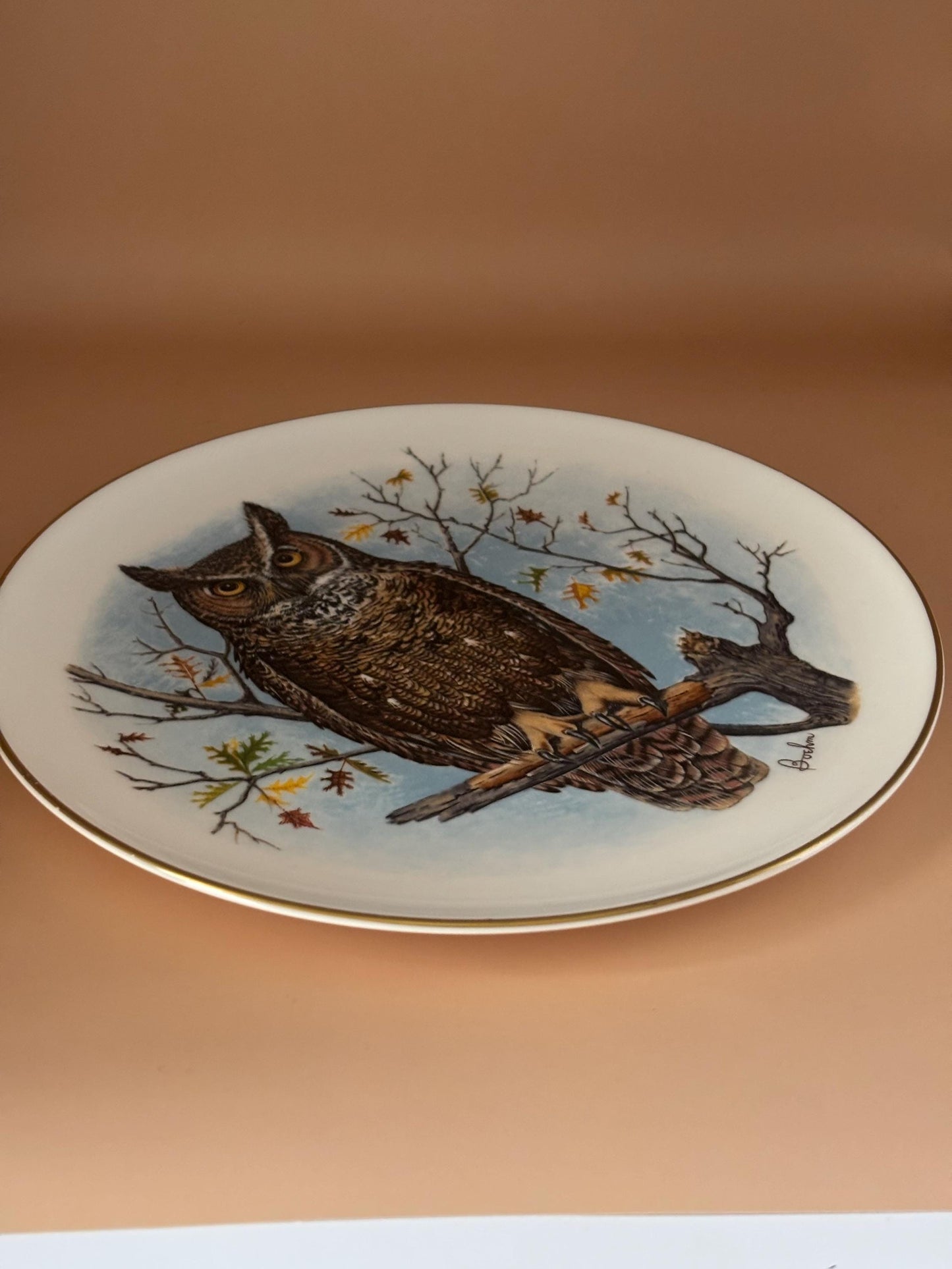 Vintage Owl Boehm Porcelain Plate by Edward Marshall Bone China Gold Rim Lover Antiques and Vintage