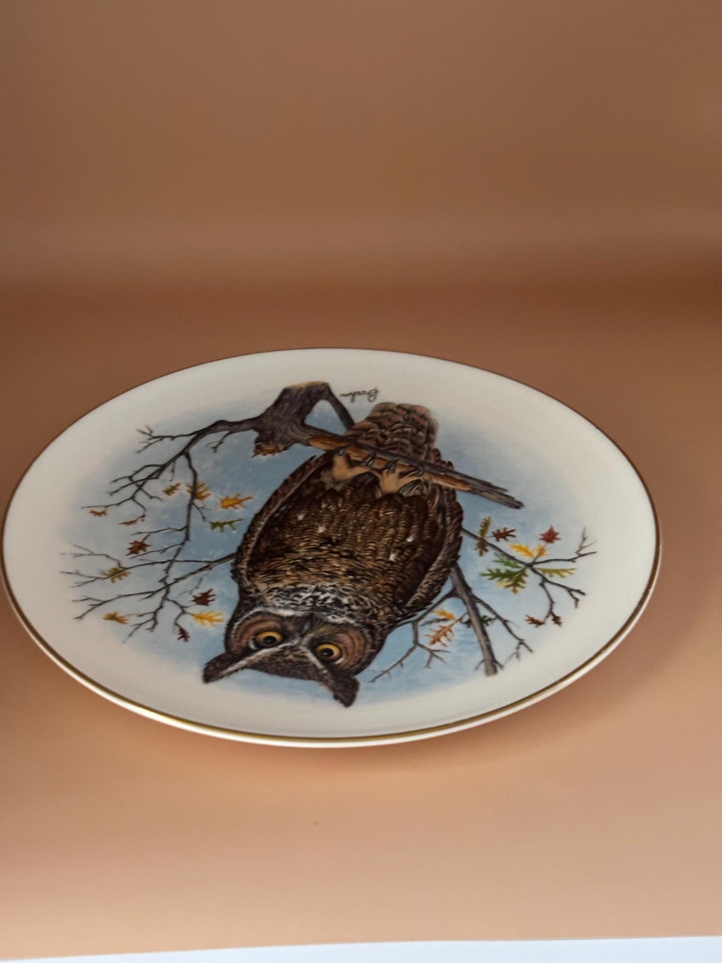 Vintage Owl Boehm Porcelain Plate by Edward Marshall Bone China Gold Rim Lover Antiques and Vintage