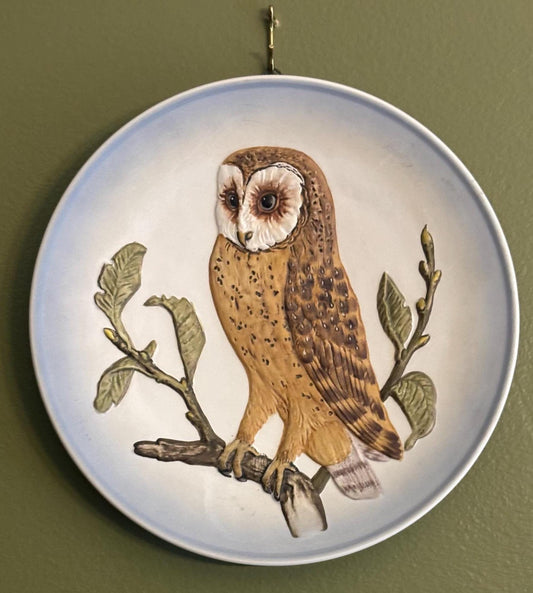 Vintage Goebel Owl Plate Wall Hanging Art West Germany Lover Antiques and Vintage