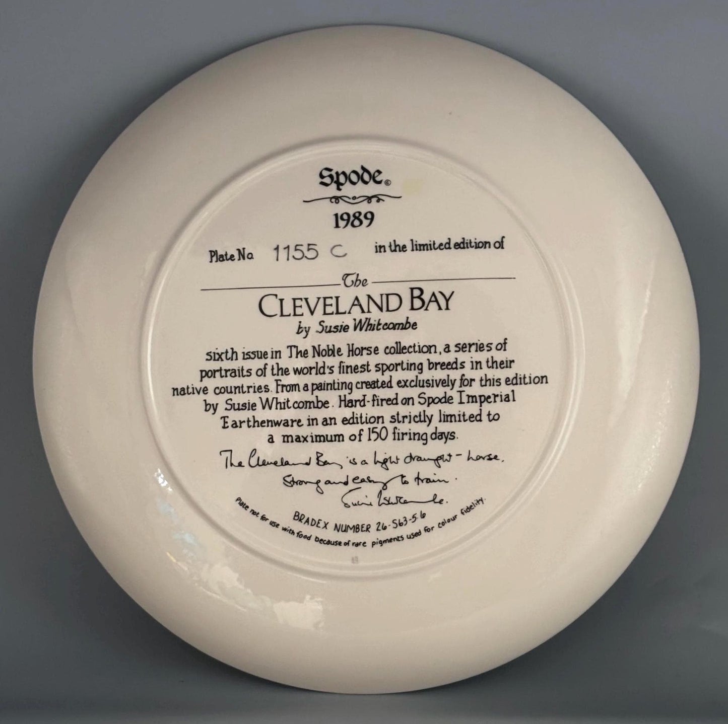 Vintage Spode American Quarterback Horse Plate #1155C Lover Antiques and Vintage