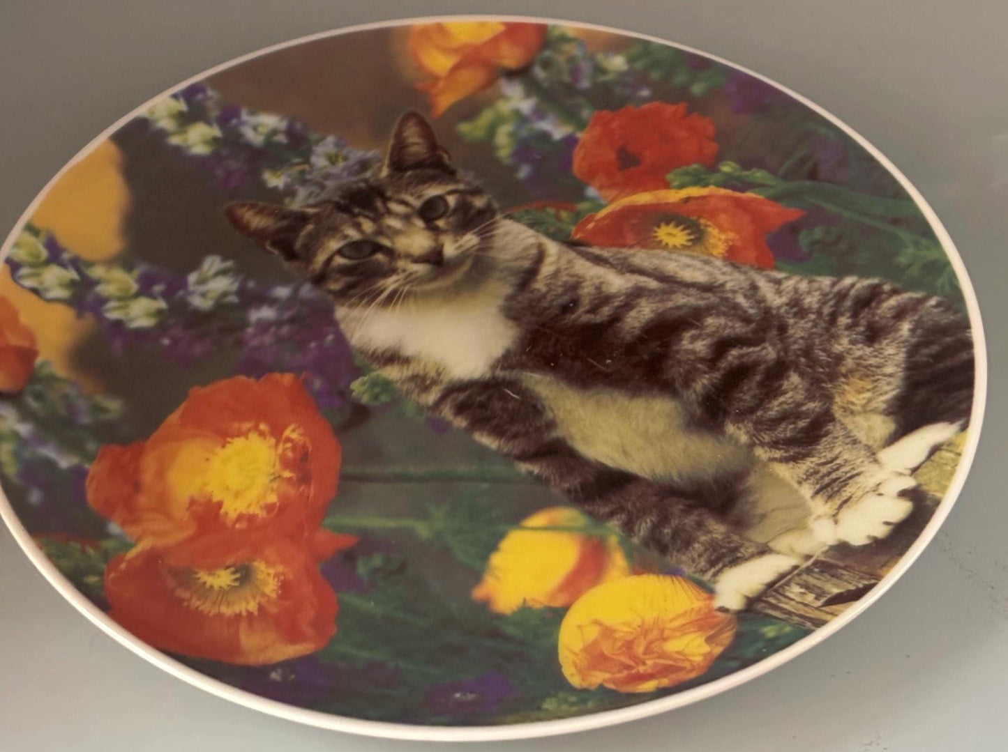 Vintage Tabby Cat Collection Plate Lover Antiques and Vintage