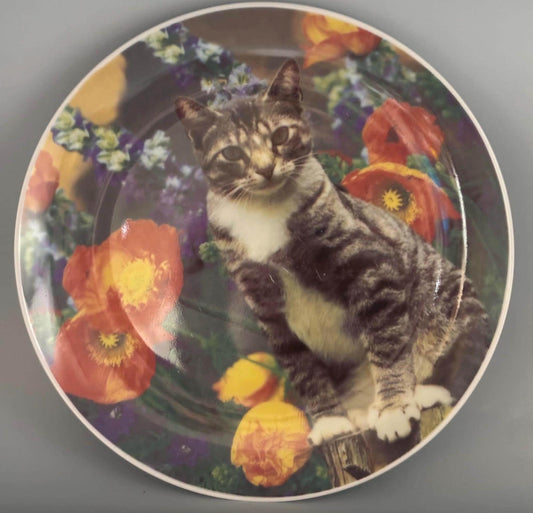 Vintage Tabby Cat Collection Plate Lover Antiques and Vintage
