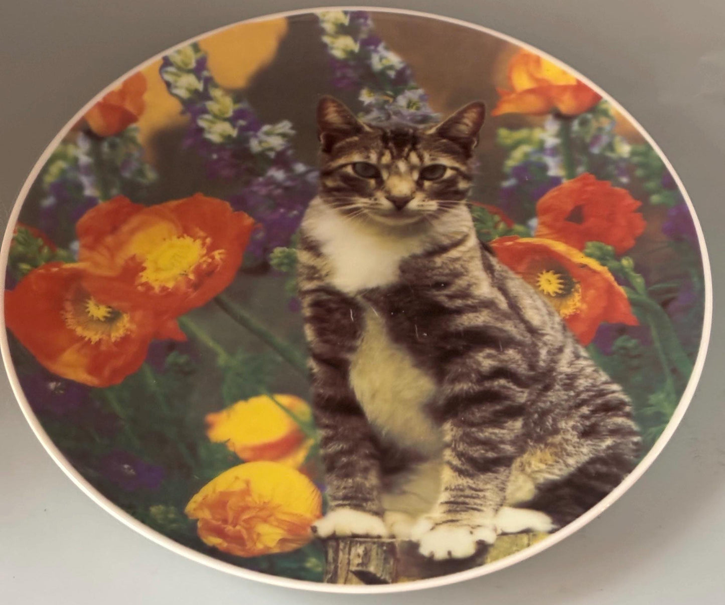 Vintage Tabby Cat Collection Plate Lover Antiques and Vintage