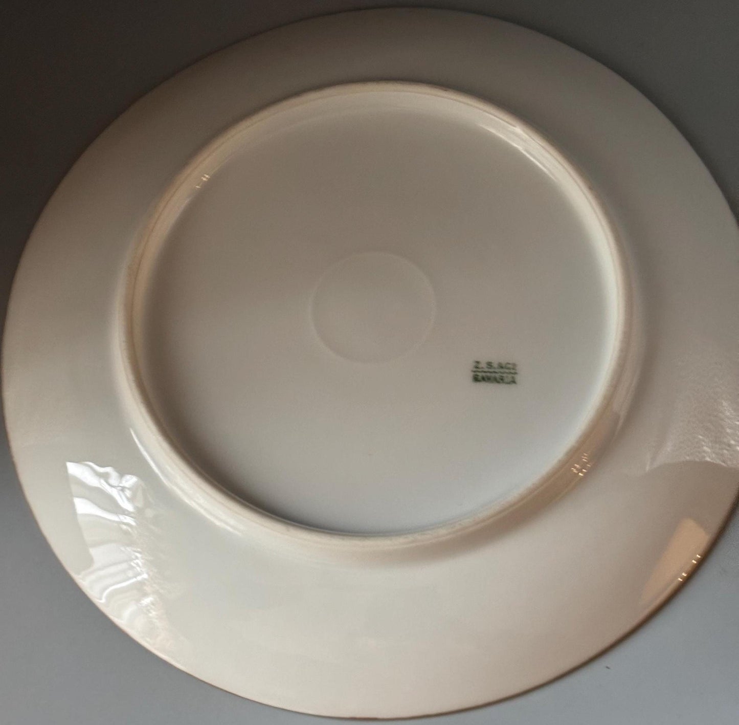 Antique Bavarian Porcelain Plate with Purple Flowers Floral Design ZS & C Bavaria Lover Antiques and Vintage
